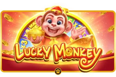 3333bet app