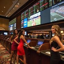 3333bet app